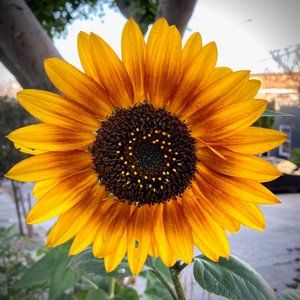 Meet your Posher, Elle